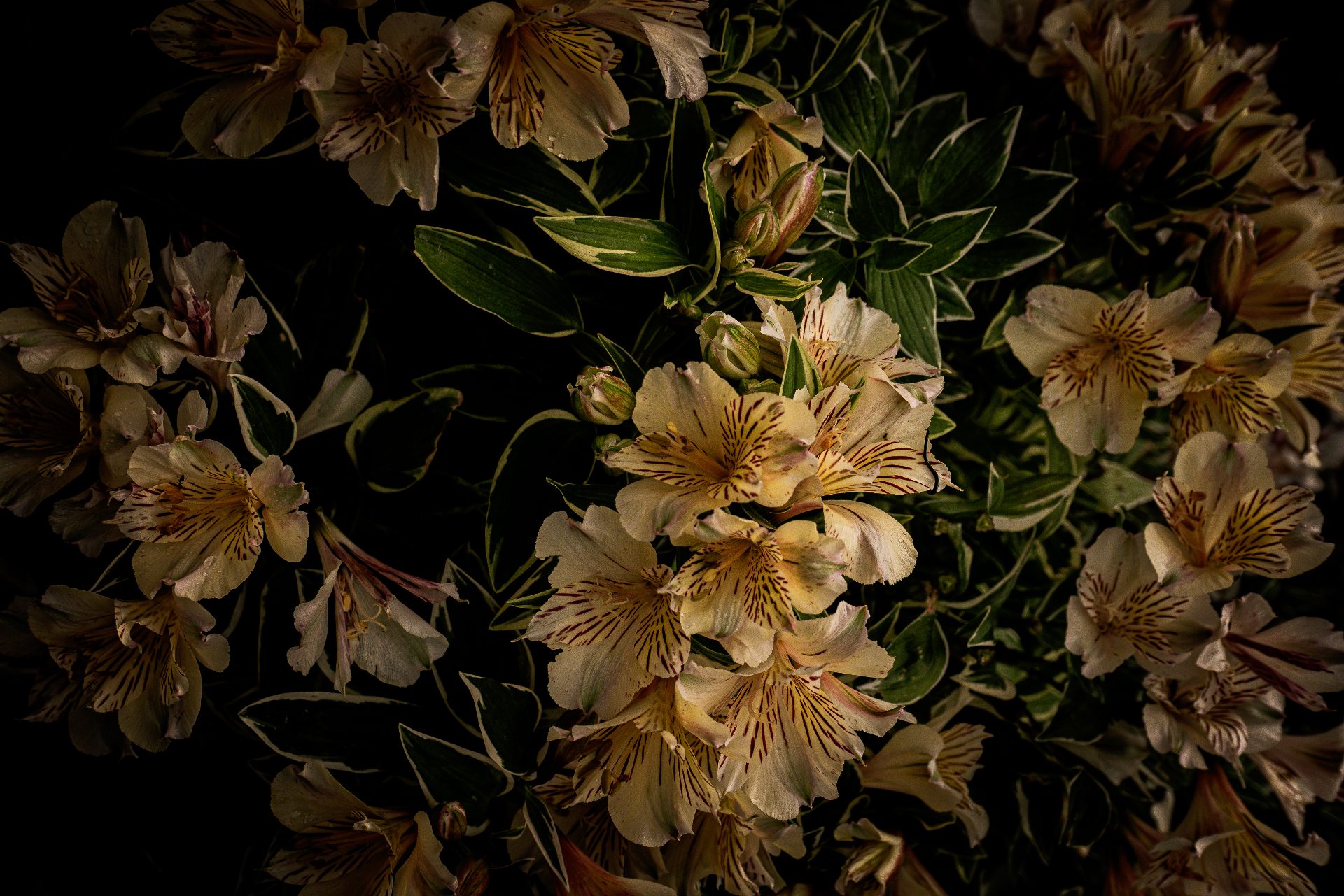 L1070234.jpg