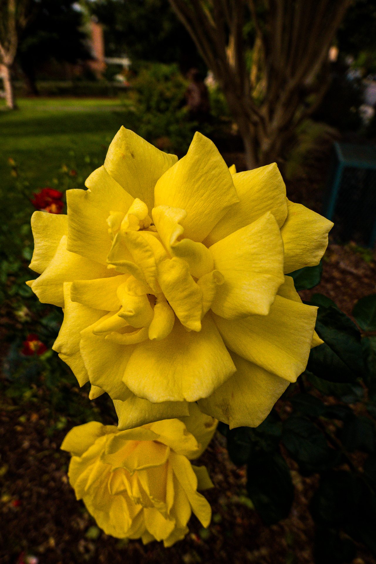L1070239.jpg