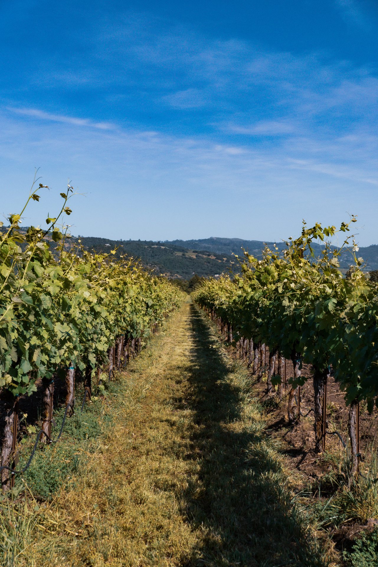 Sonoma, California