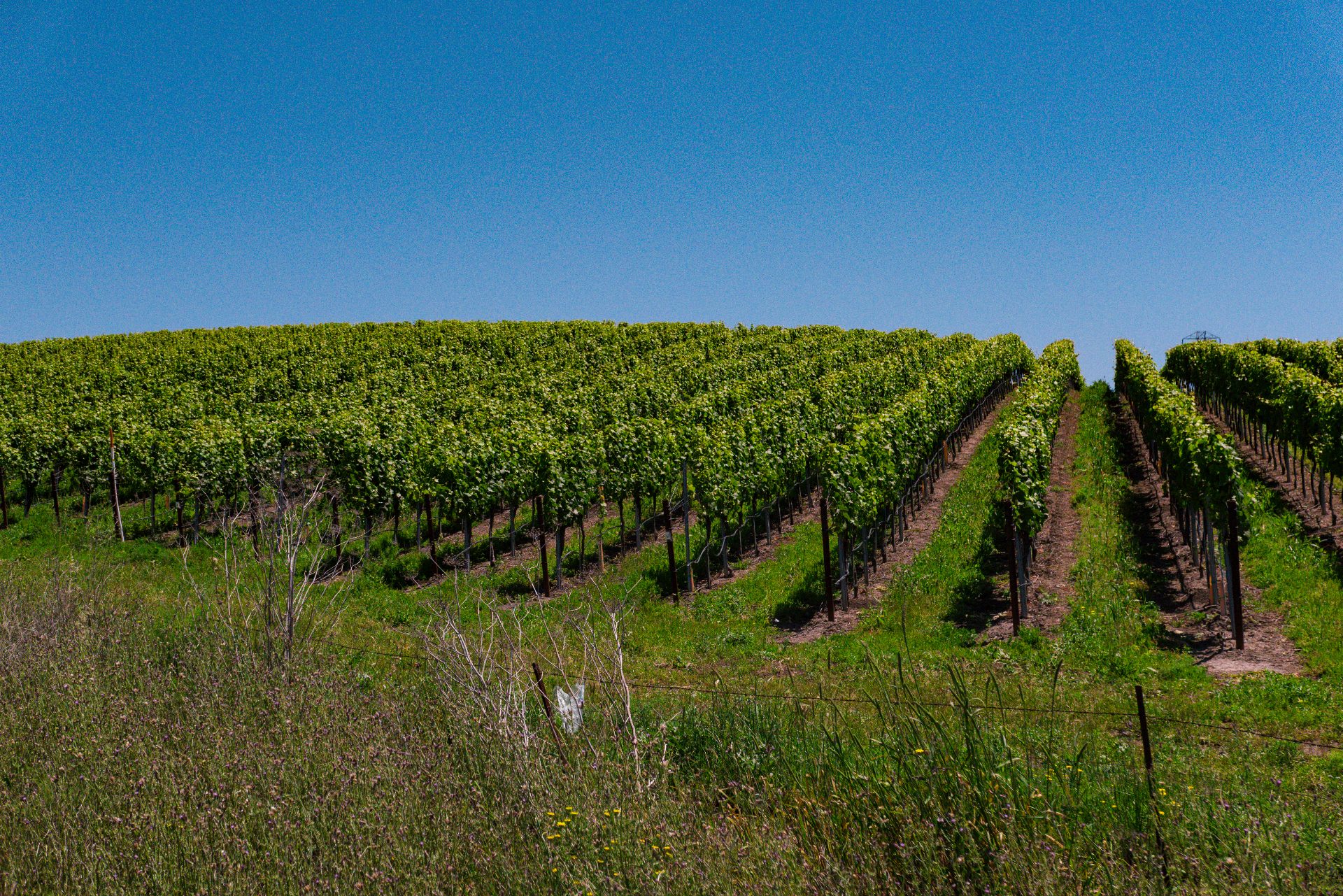 Sonoma, California