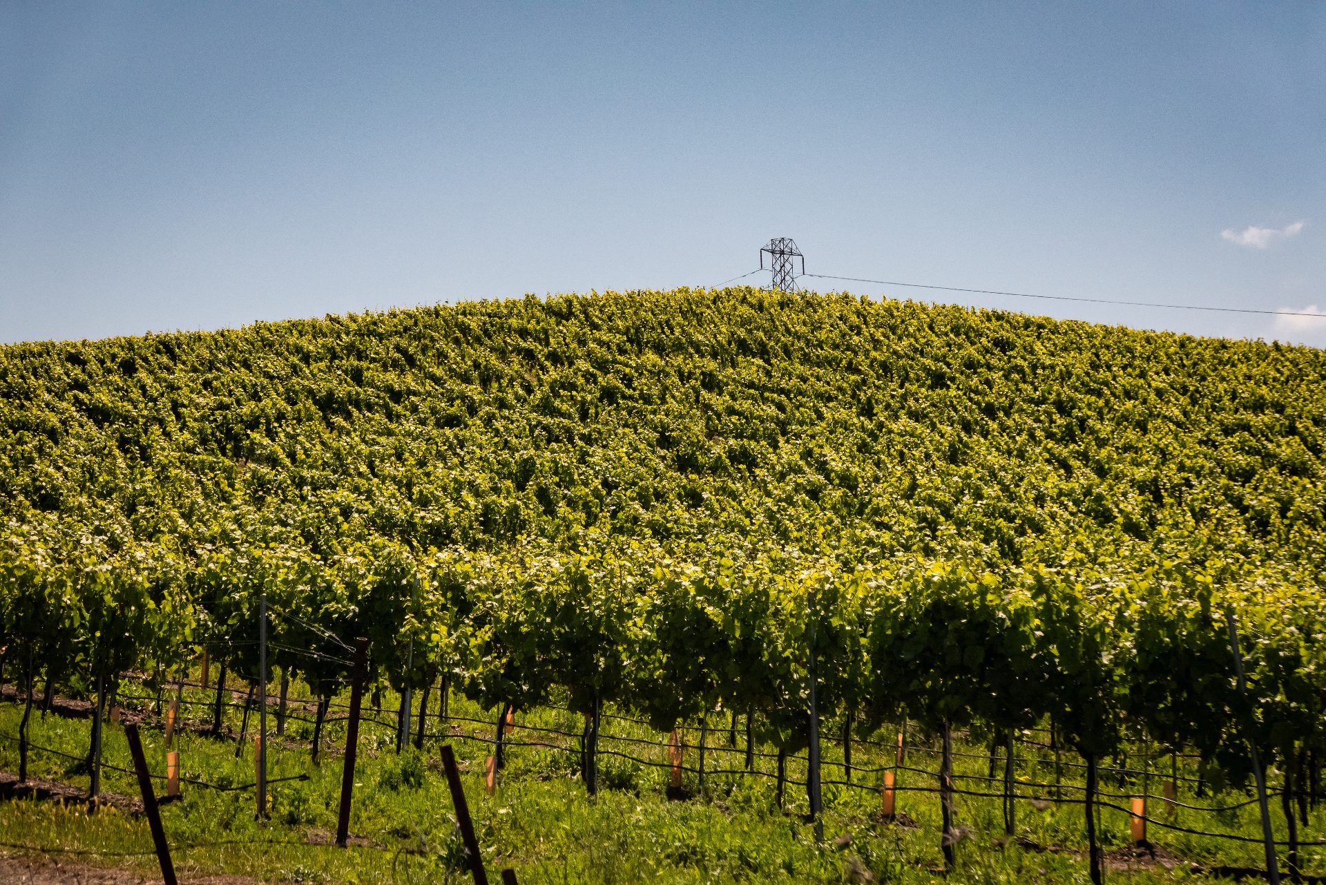 Sonoma, California