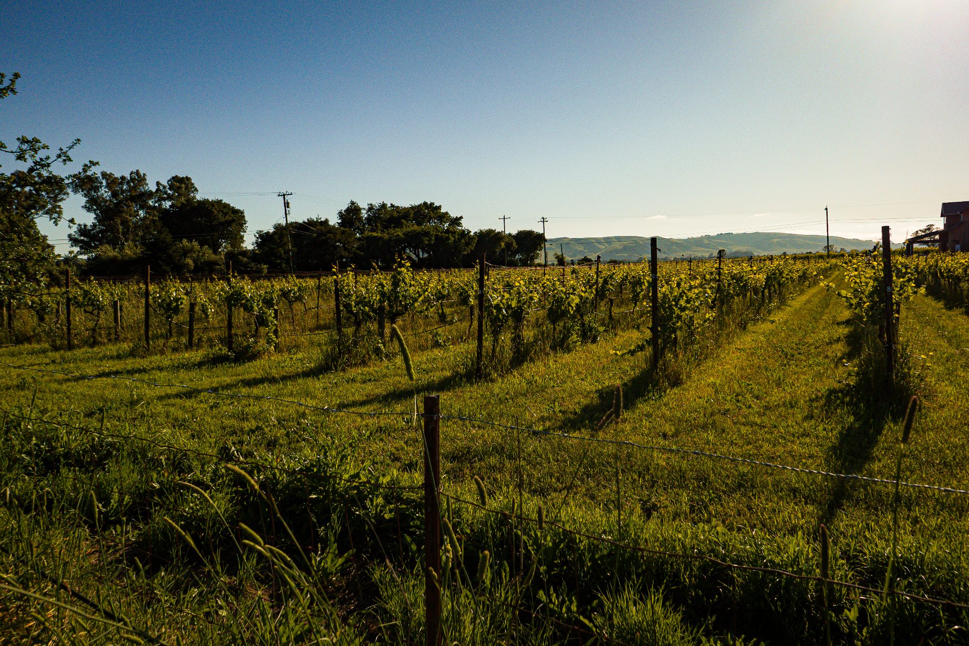 Sonoma, California