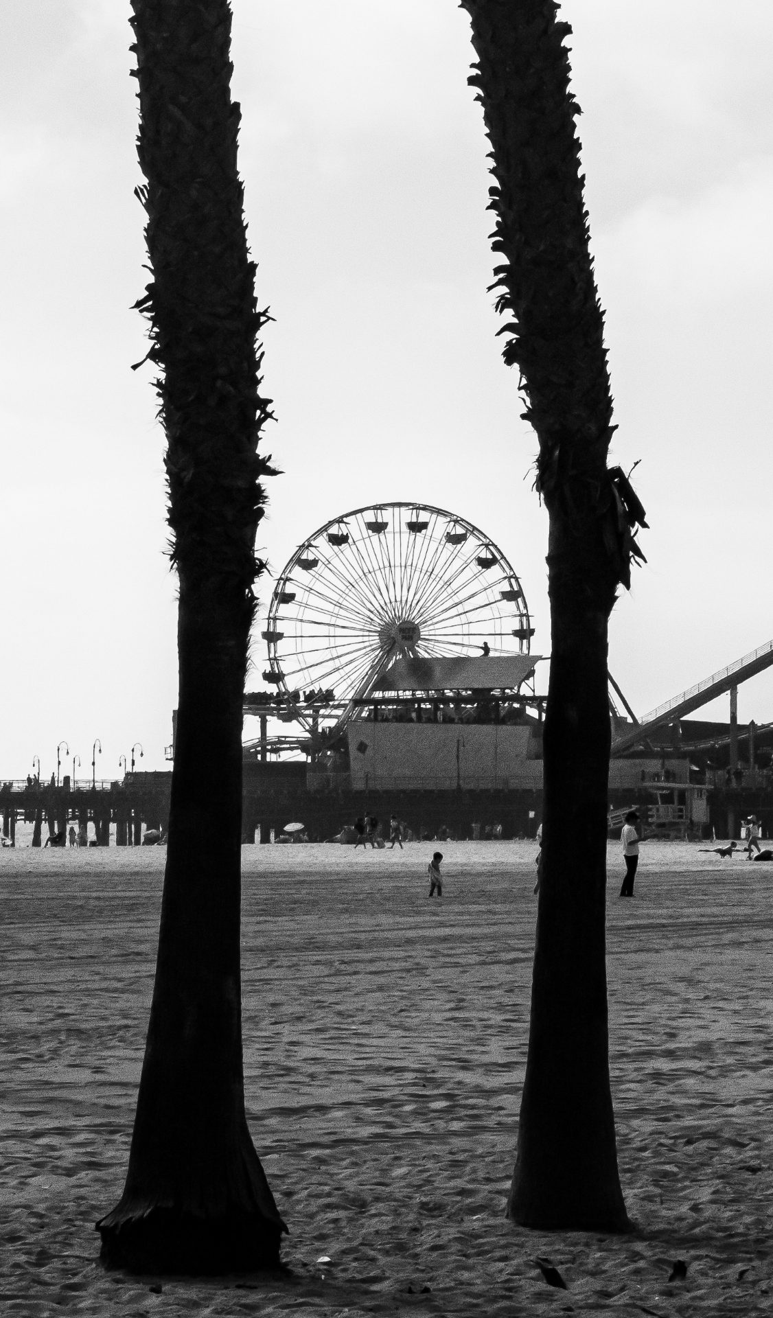 L1061364.jpg