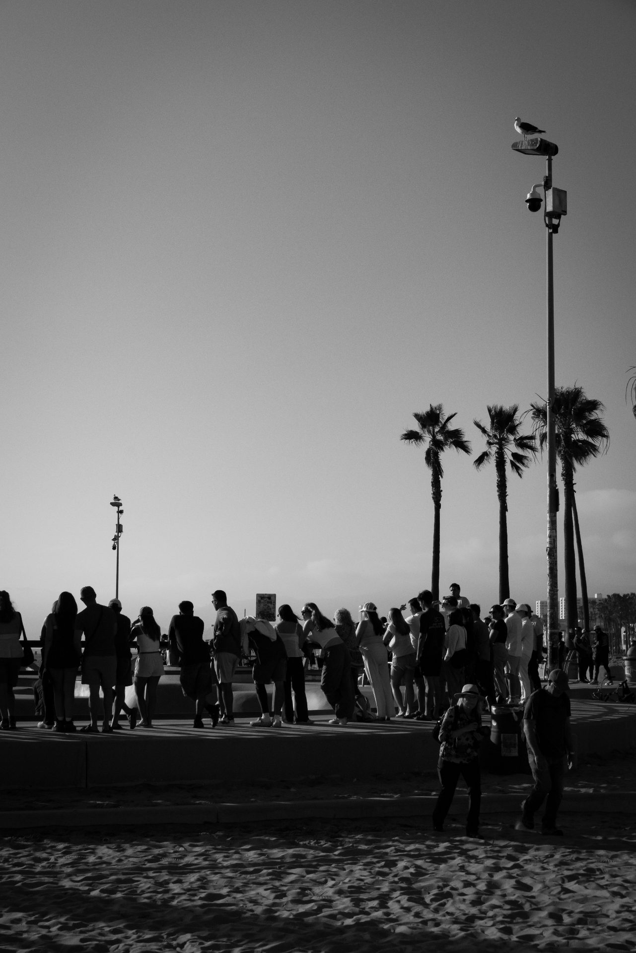 L1061388.jpg