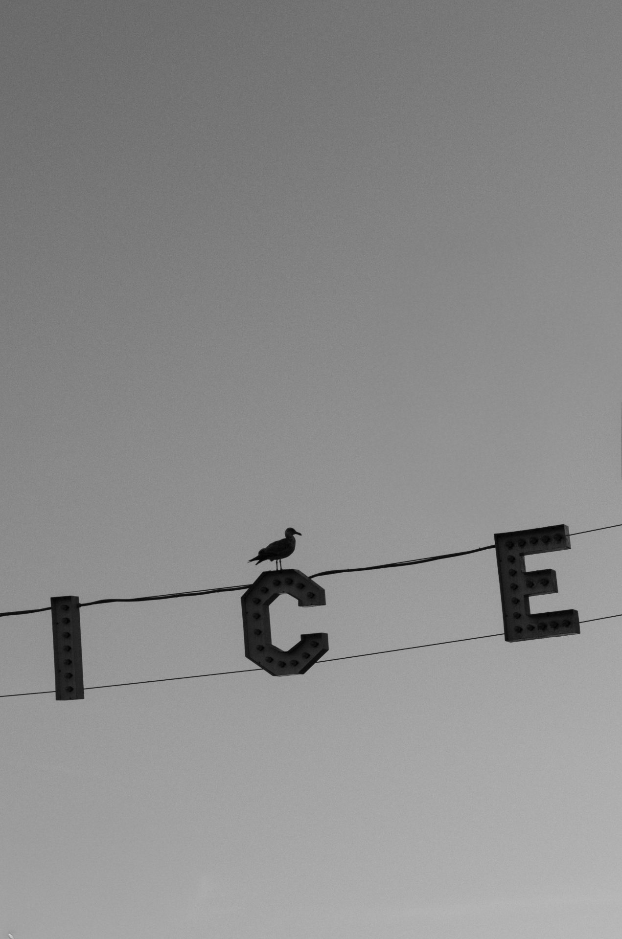 L1061401.jpg