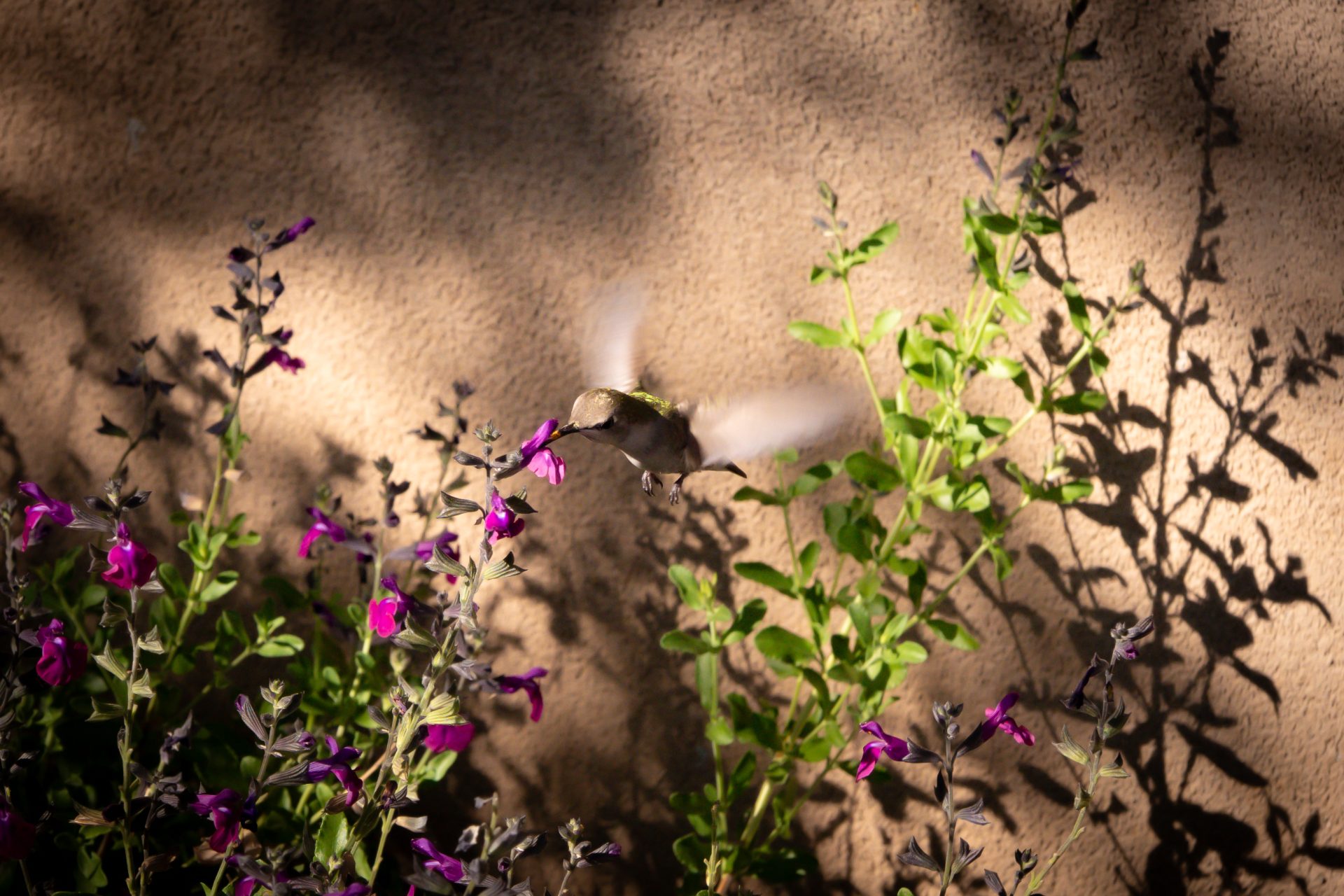 L1060814.jpg