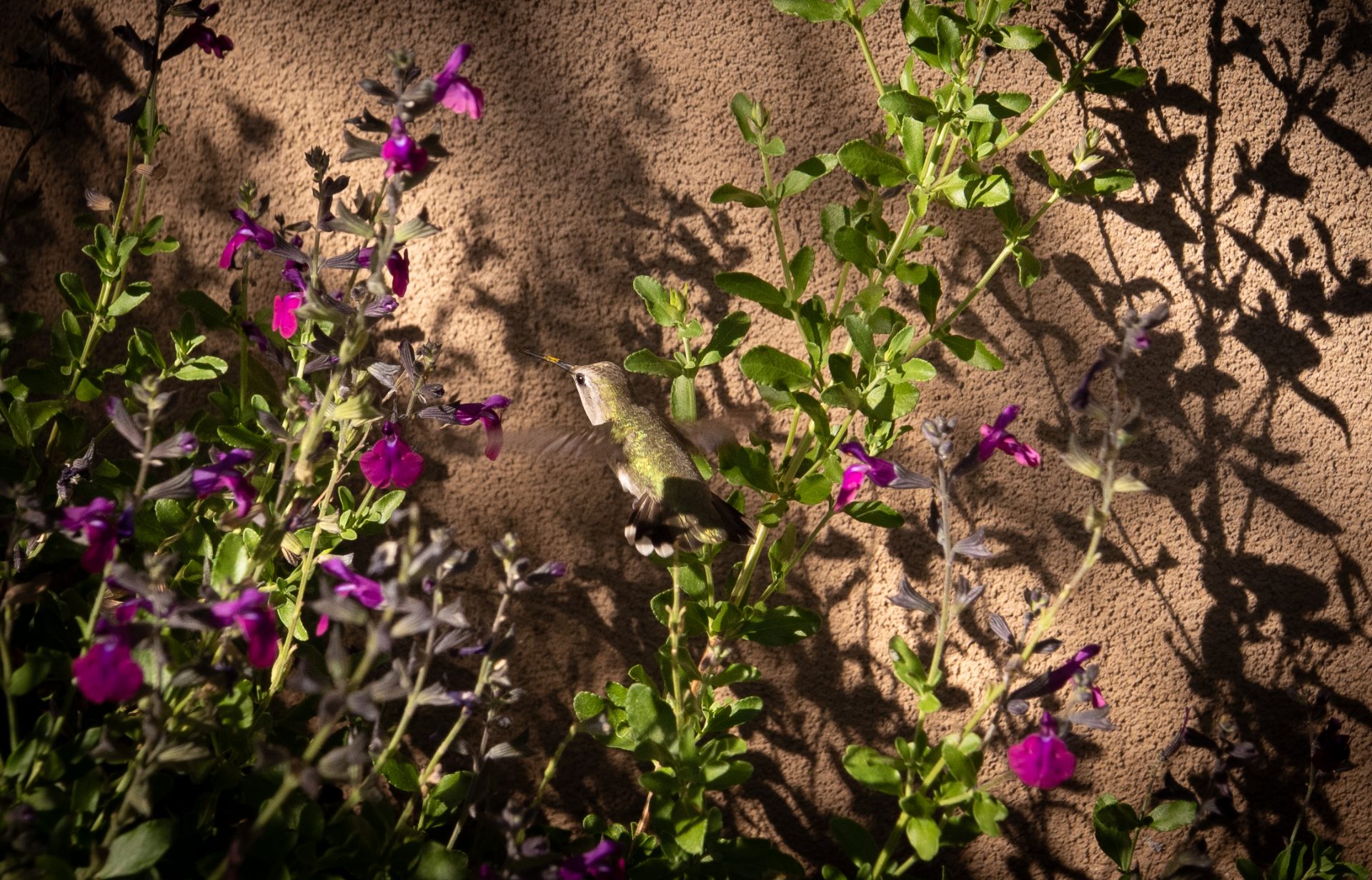 L1060815.jpg
