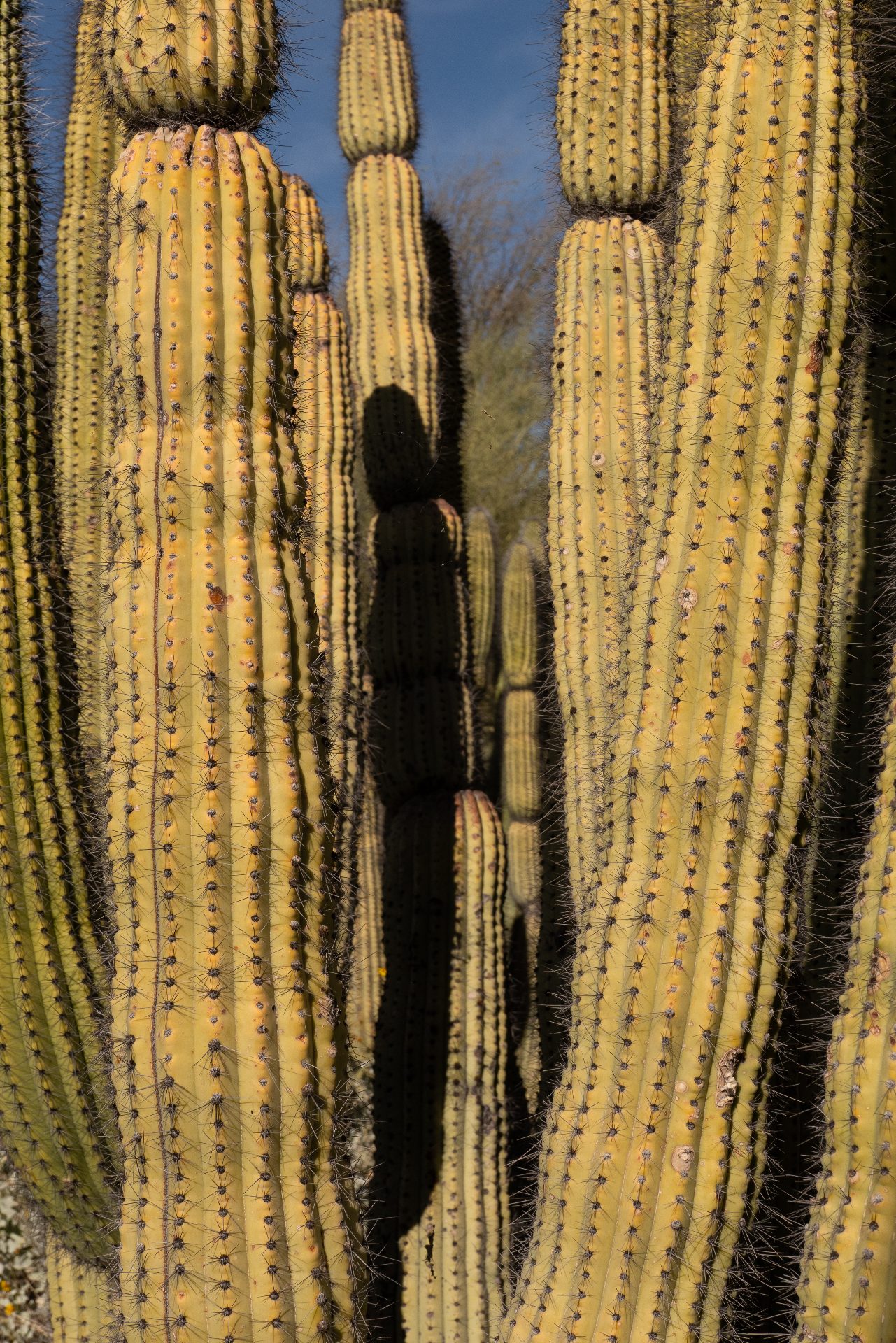 L1060847.jpg