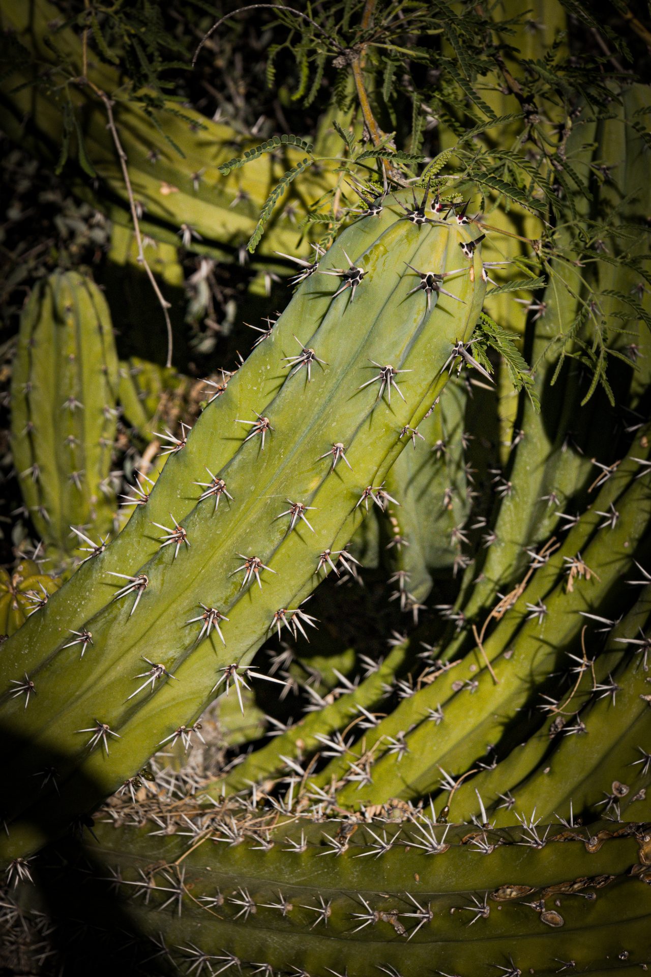 L1060862.jpg