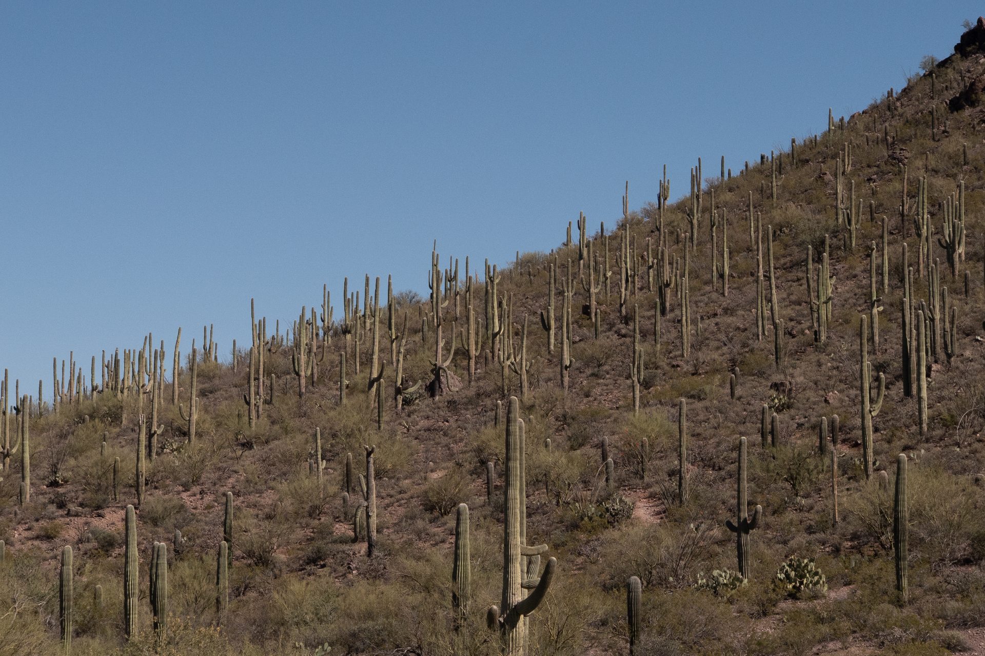 L1060886.jpg