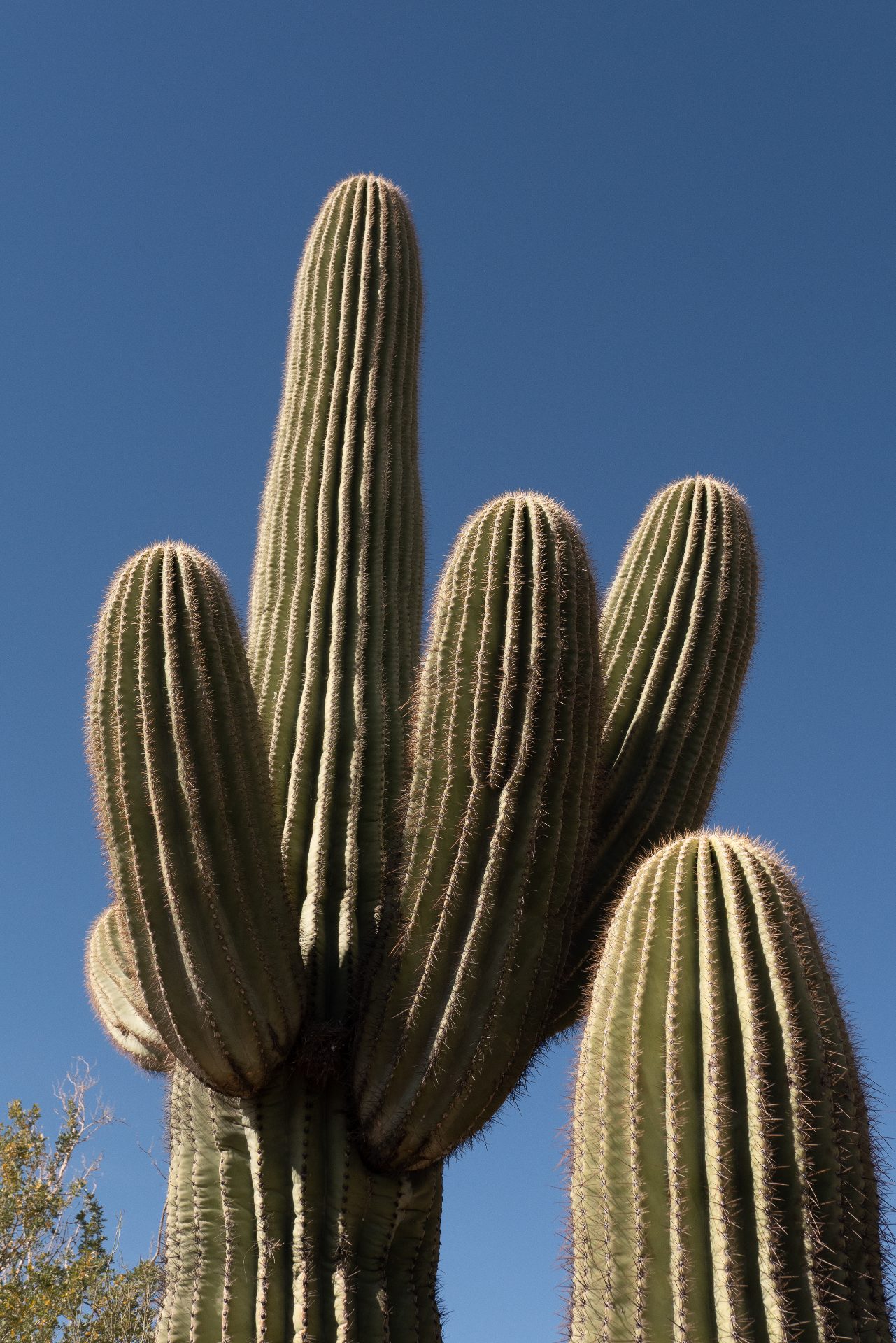 L1060896.jpg