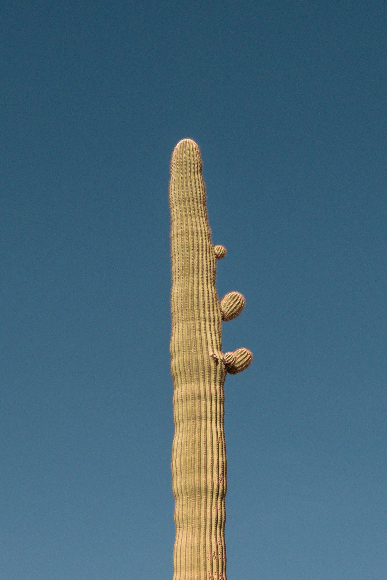 L1060902.jpg