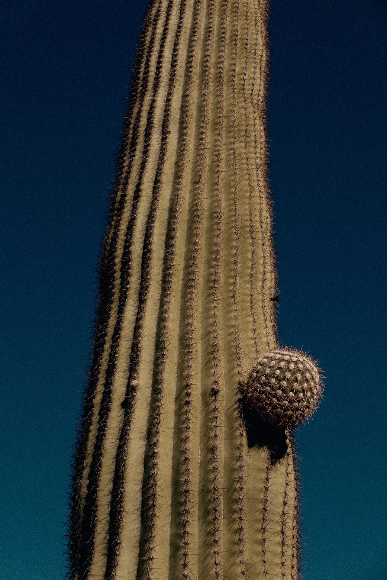 L1060912.jpg