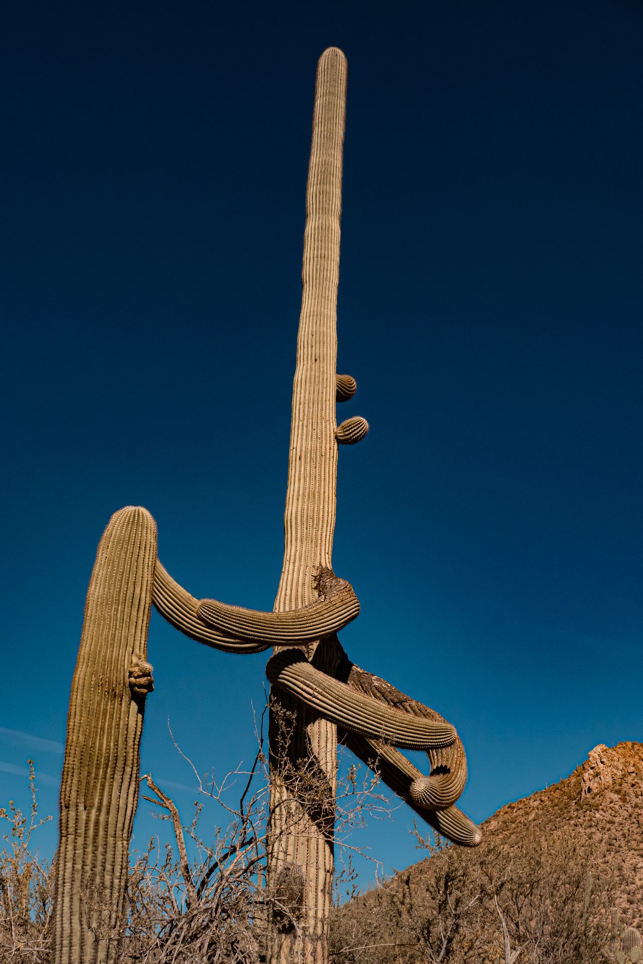 L1060914.jpg